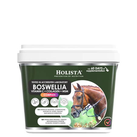 Boswellia Serrata Complex HOLISTA 1000g
