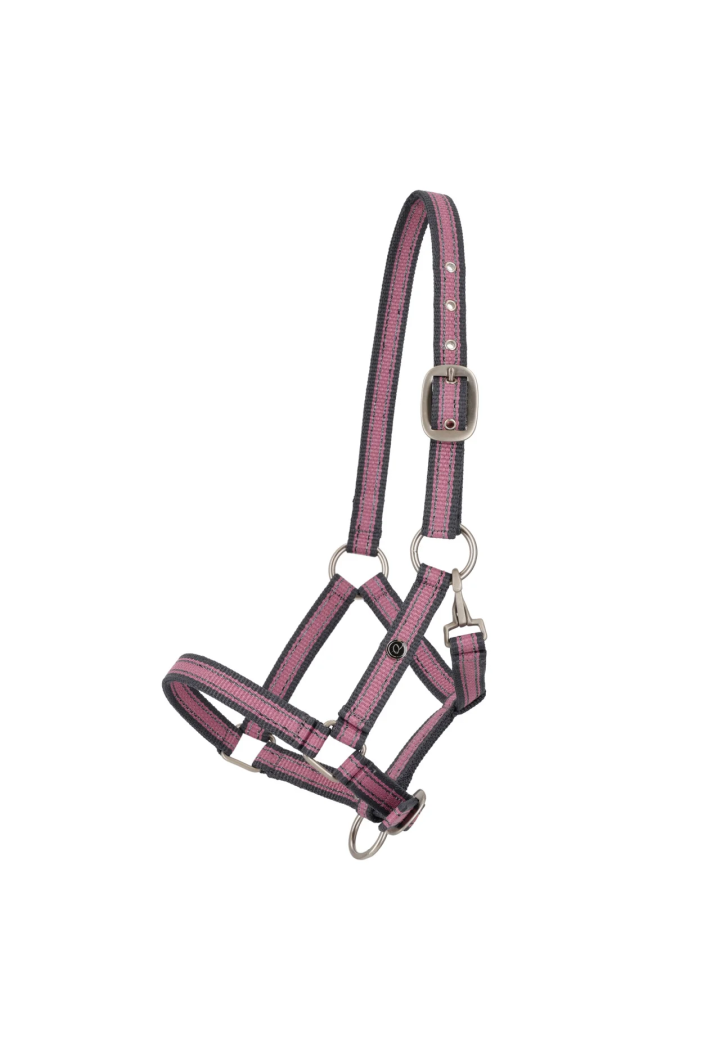 Headcollar foals QHP Collection Spring/Summer 2026