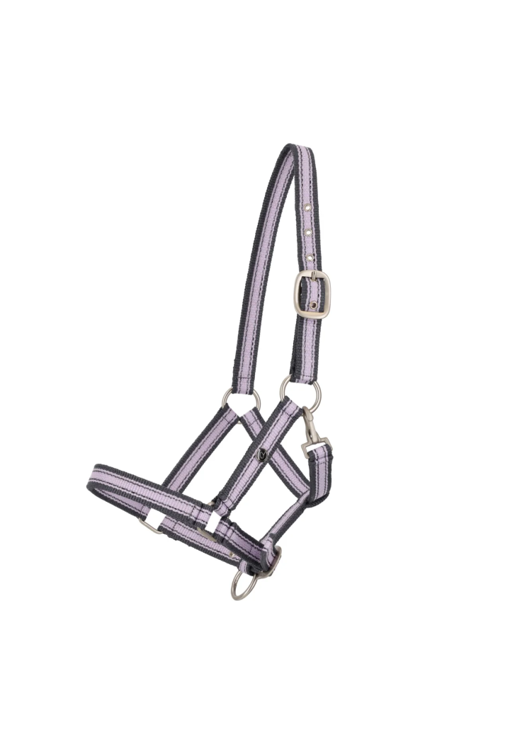 Headcollar foals QHP Collection Spring/Summer 2026