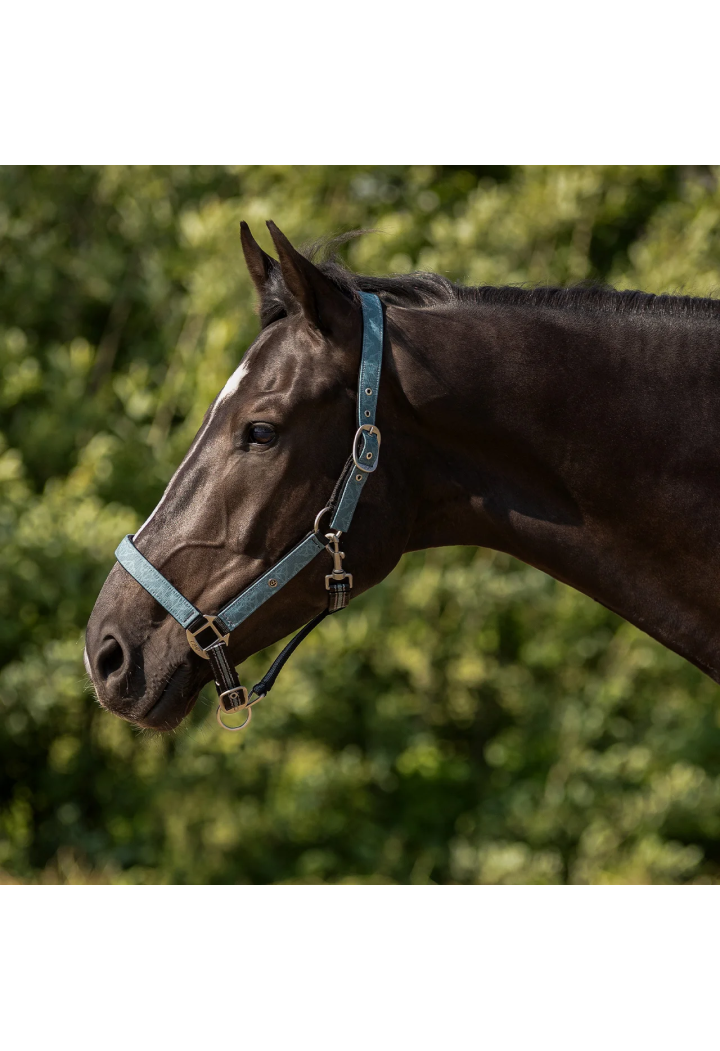 Headcollar with lead rope QHP Collection Spring/Summer 2026