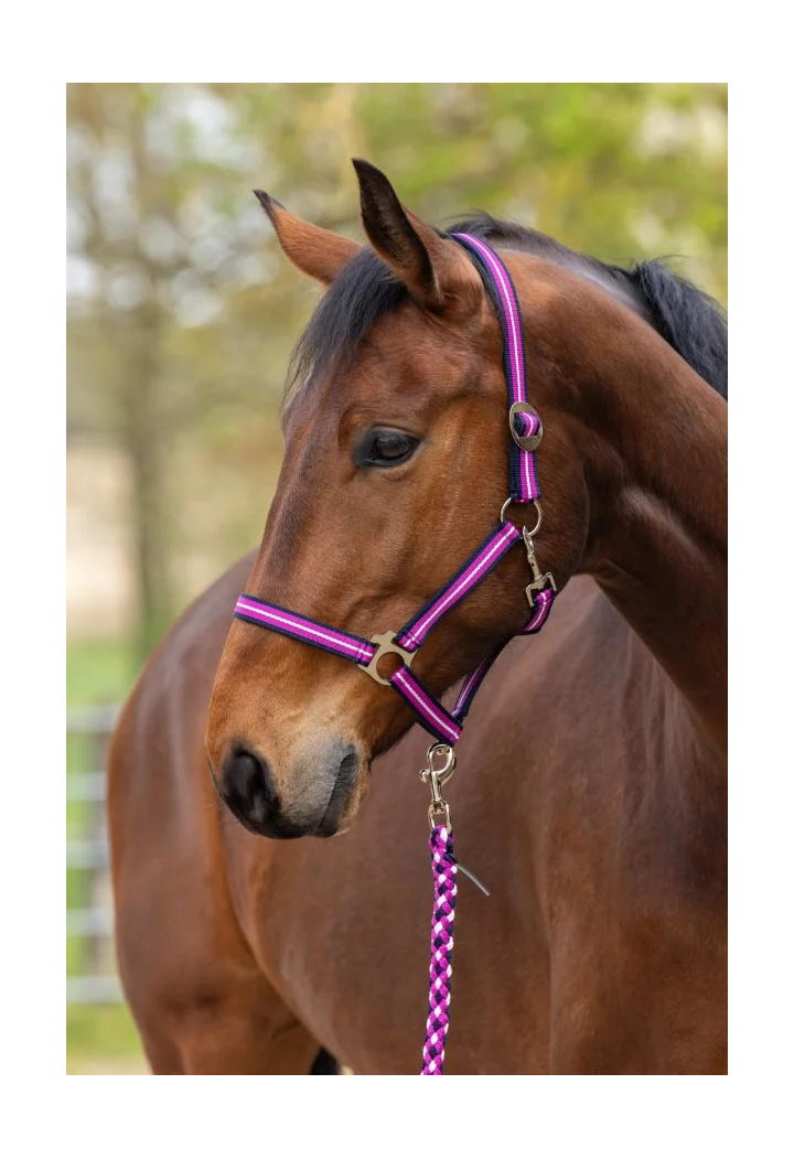 Headcollar COVALLIERO Hippo spring/summer 2026