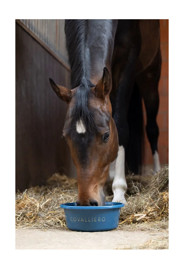 COVALLIERO feed bowl spring/summer 2026