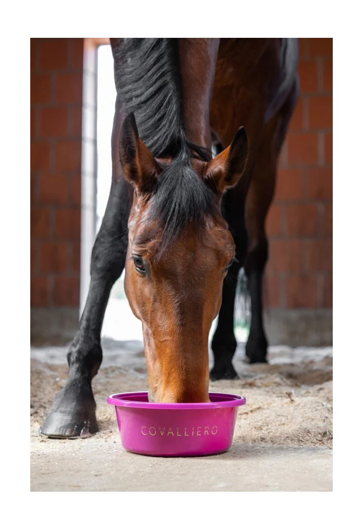 COVALLIERO feed bowl spring/summer 2026