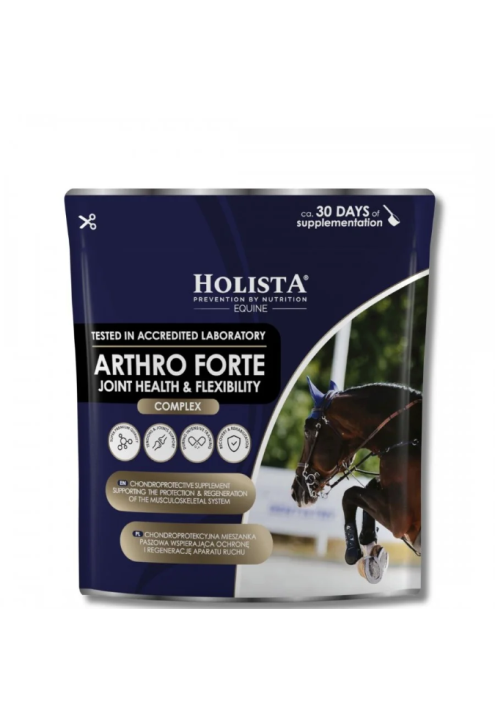 Integratore comune HOLISTA Arthro Forte 600g
