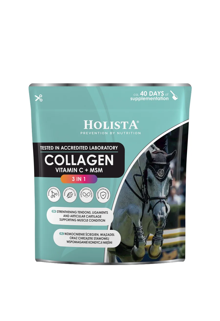 Collagen HOLISTA Collagen 3 in 1 600g Supplement