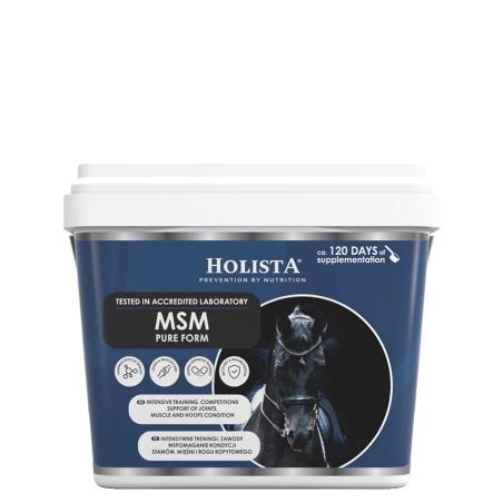 HOLISTA MSM Pure 900g Supplemento