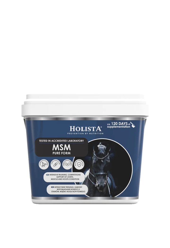 HOLISTA MSM Pure 900g Dodatek