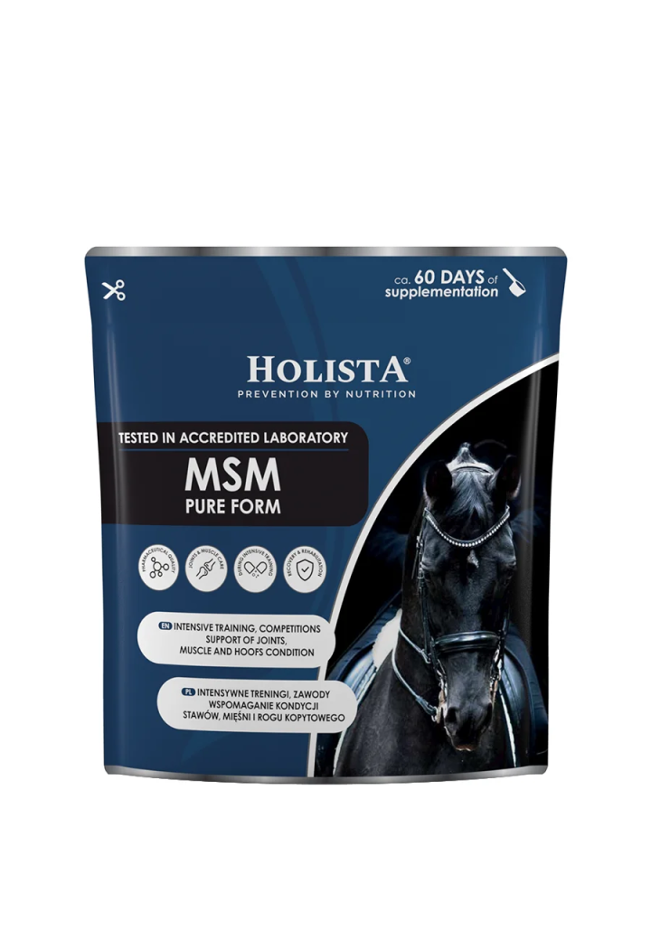HOLISTA MSM Pure 450g Supplemento