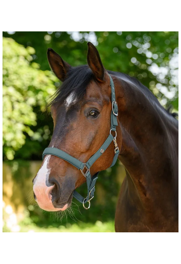 Kantar waldhausen trinidad | Sklep jeździecki Horse Trade.pl
