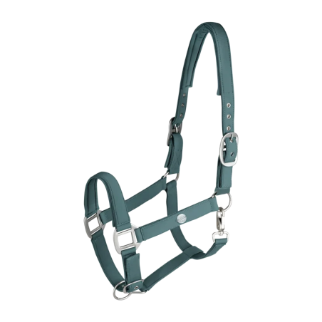 Headcollar WALDHAUSEN Trinidad spring/summer 2026