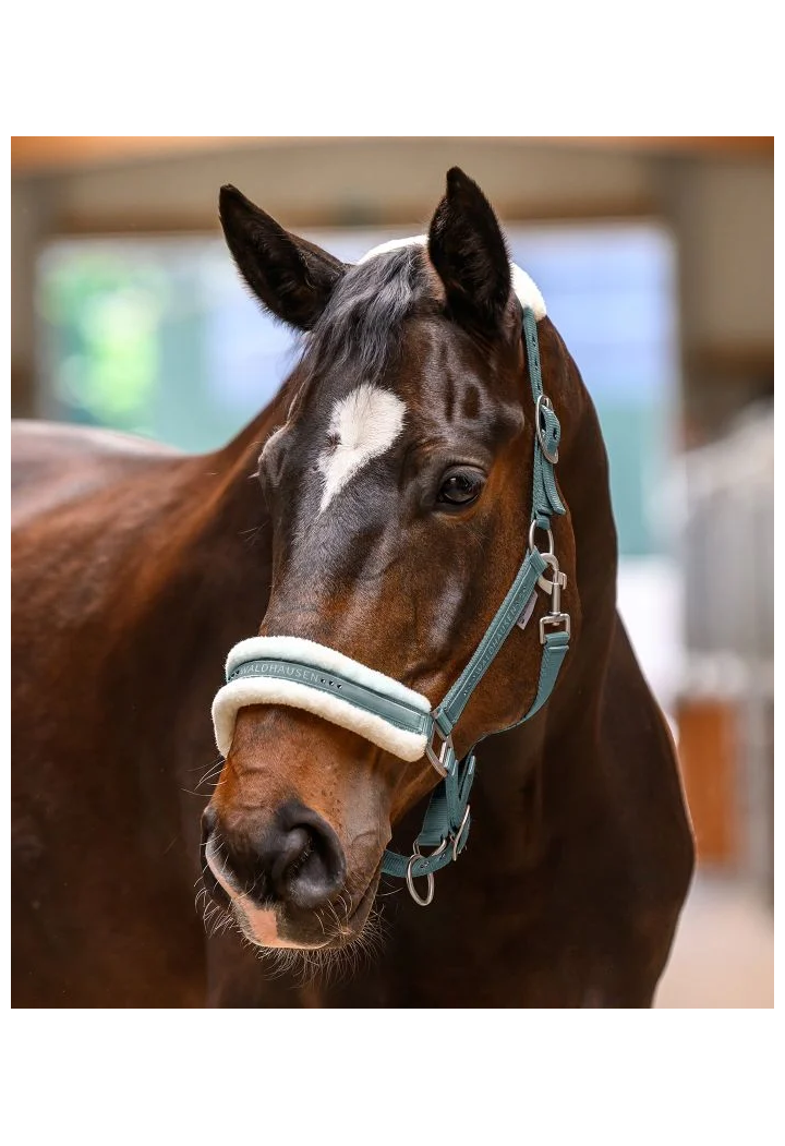 Headcollar WALDHAUSEN Elegant spring/summer 2026