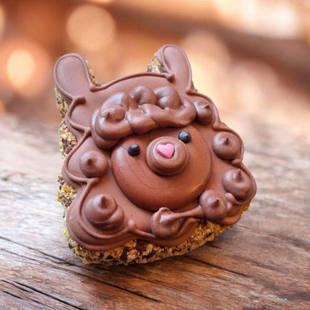 Cookie PAKA DLA RUMAKA Alpaka Brown