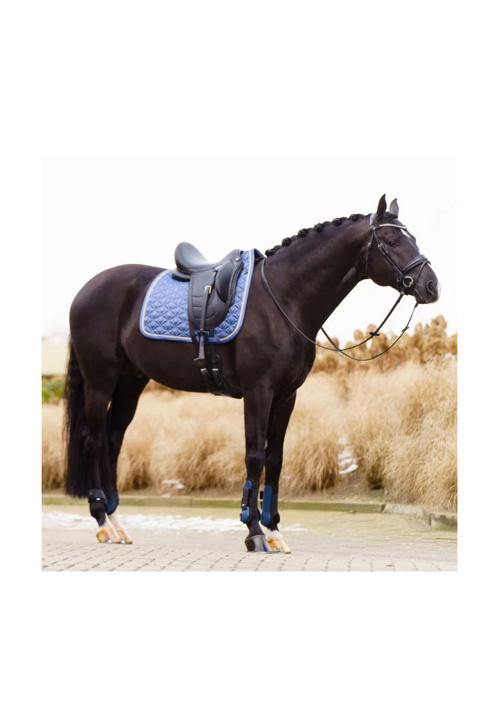 Schabracke Dressur Imperial Riding Lenny