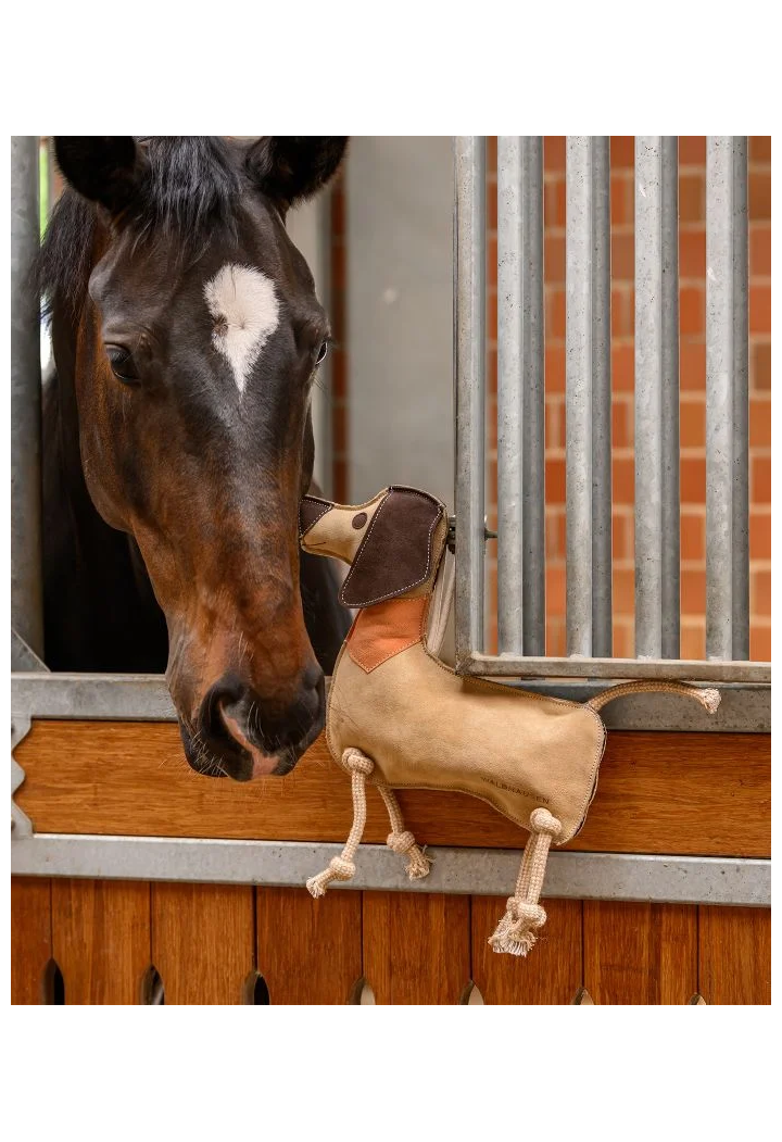 Giocattolo per cavallo WALDHAUSEN Dachshund Dieter