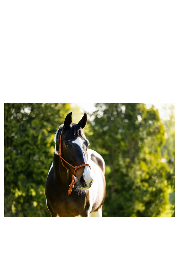 Kantar sznurkowy br klara wiosna/lato 2026 | Sklep jeździecki Horse Trade.pl