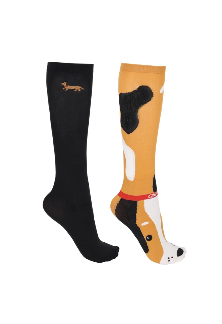 Calzini QHP Dachshund 2pairs