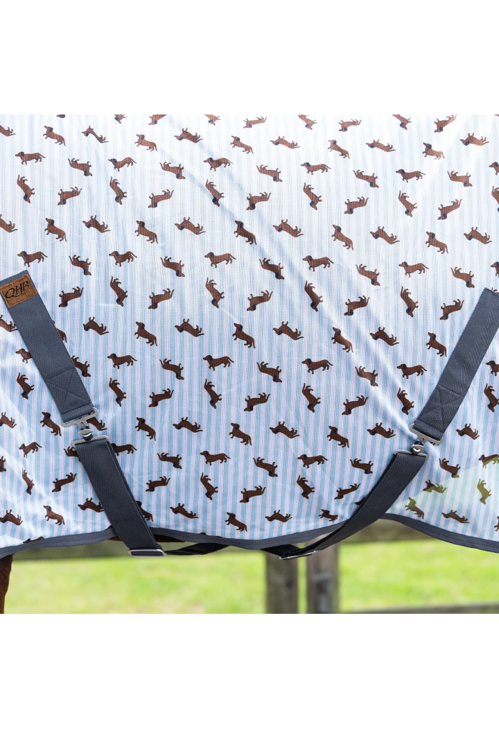 Deka pro koně netc QHP Dachshund