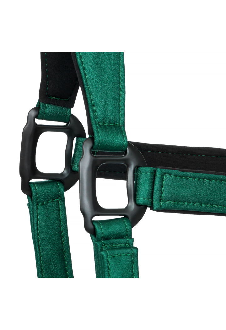 Cavezza EQUESTRIAN QUEEN Stuttgart 26