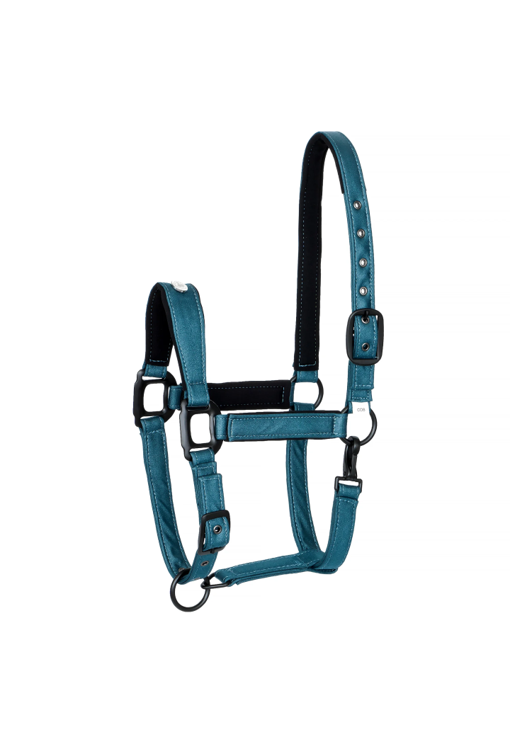 Kantar EQUESTRIAN QUEEN Stuttgart 26SS