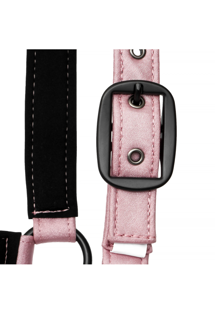 Kantar EQUESTRIAN QUEEN Stuttgart 26SS