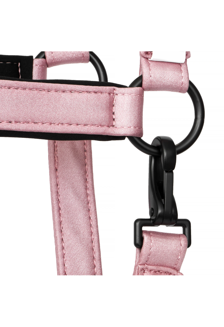 Kantar EQUESTRIAN QUEEN Stuttgart 26SS