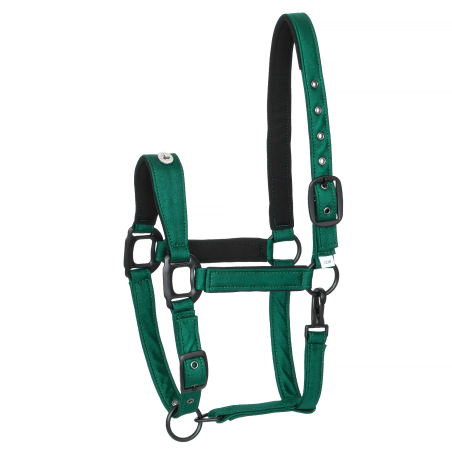 Kantar EQUESTRIAN QUEEN Stuttgart 26SS