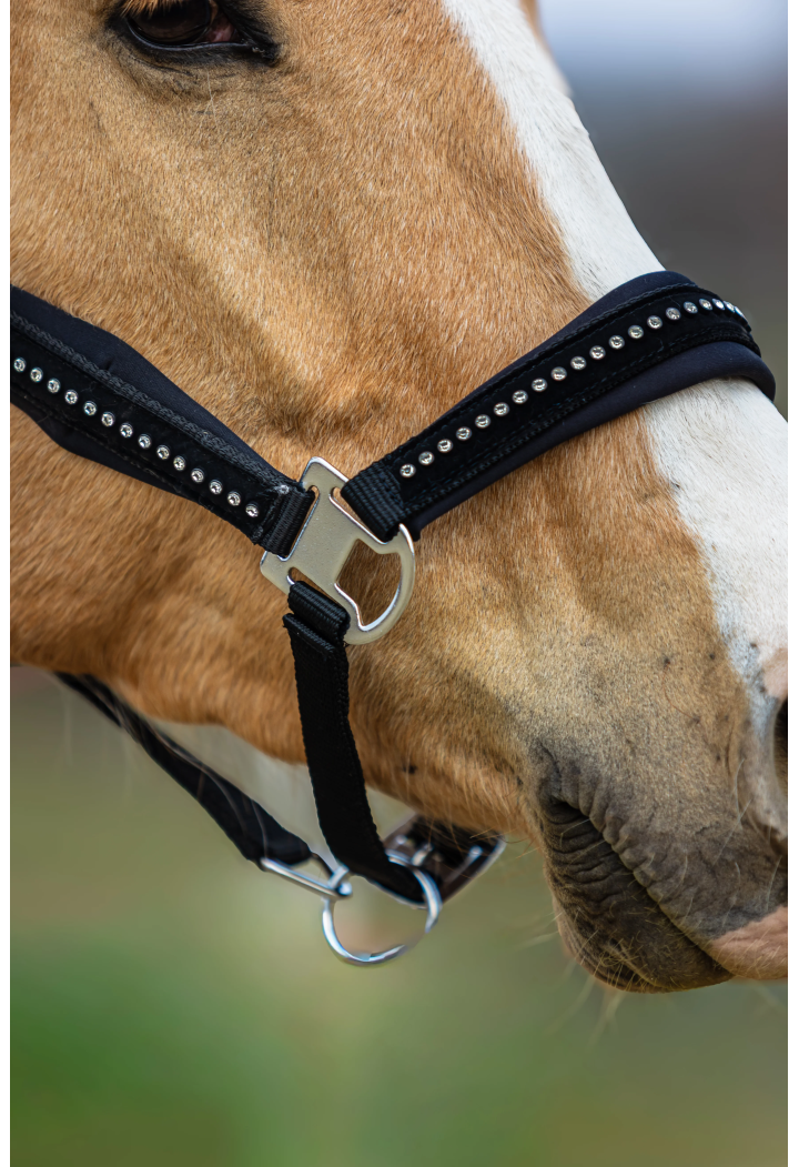 Headcollar START PremiumDiamonds
