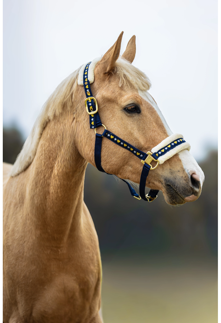 Halfter START Star&Heart