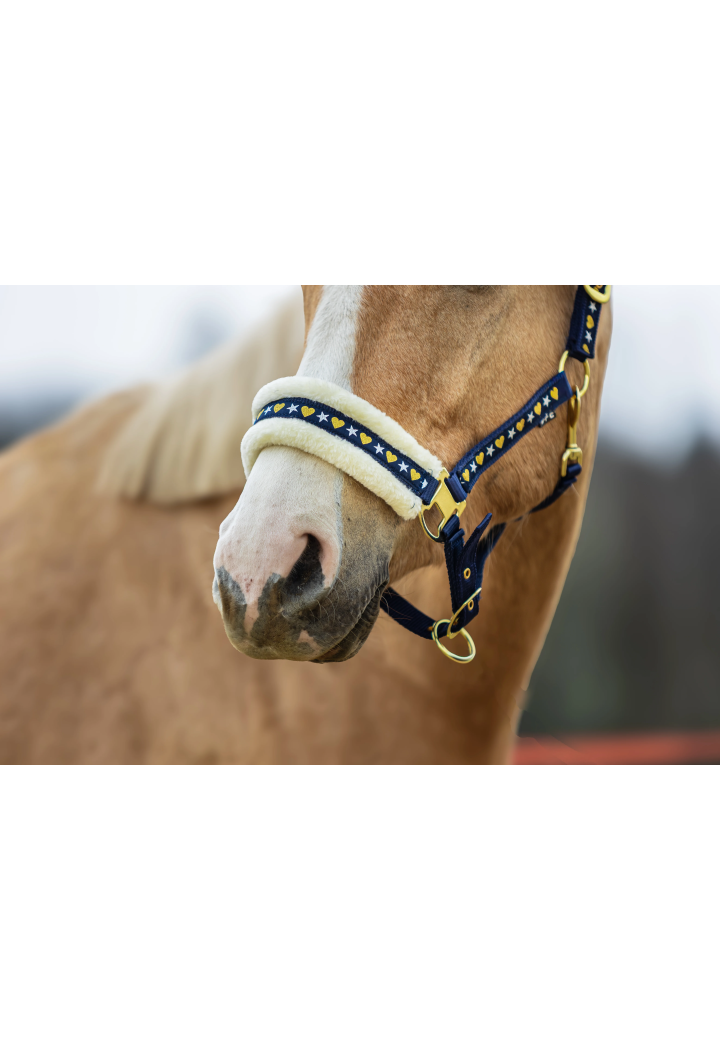 Headcollar START Star&Heart