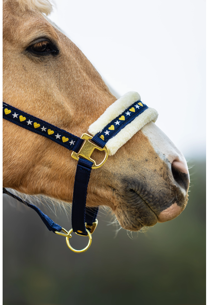 Headcollar START Star&Heart