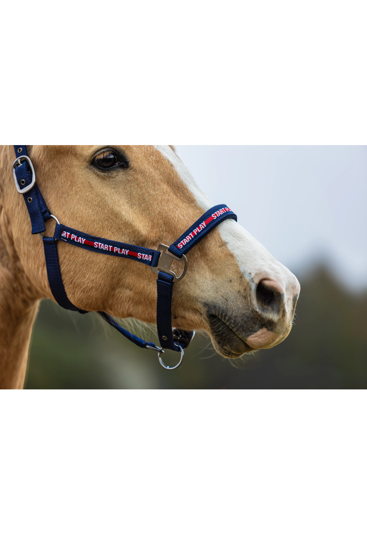 Headcollar START StartPlay