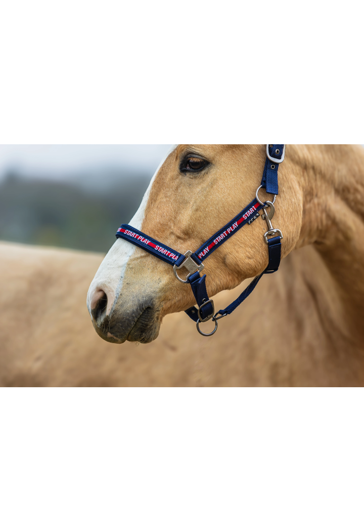 Headcollar START StartPlay
