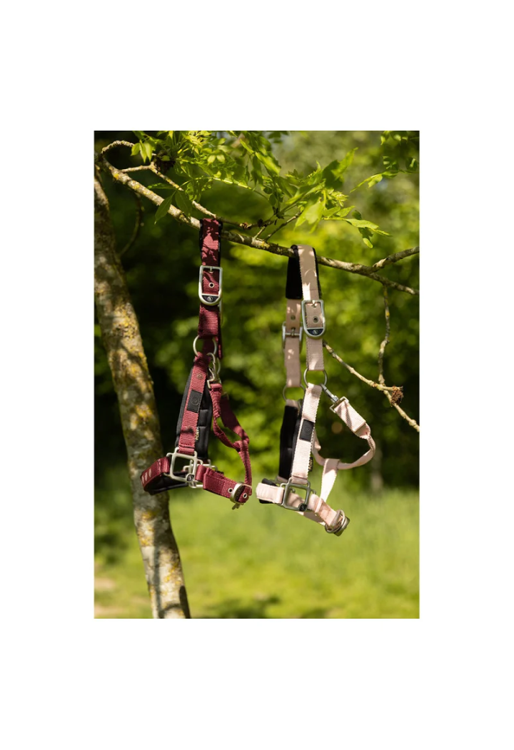 Headcollar BR Eevolv Karin spring/summer 2026