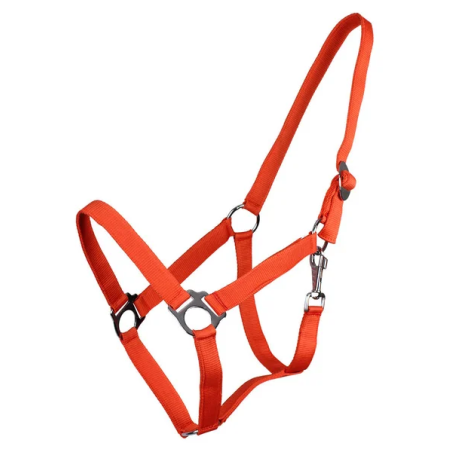 Scivolo QHP Cavezza