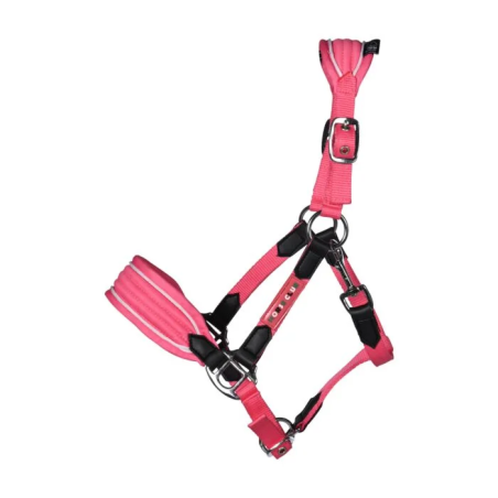 Headcollar for HKM Maui Shettys