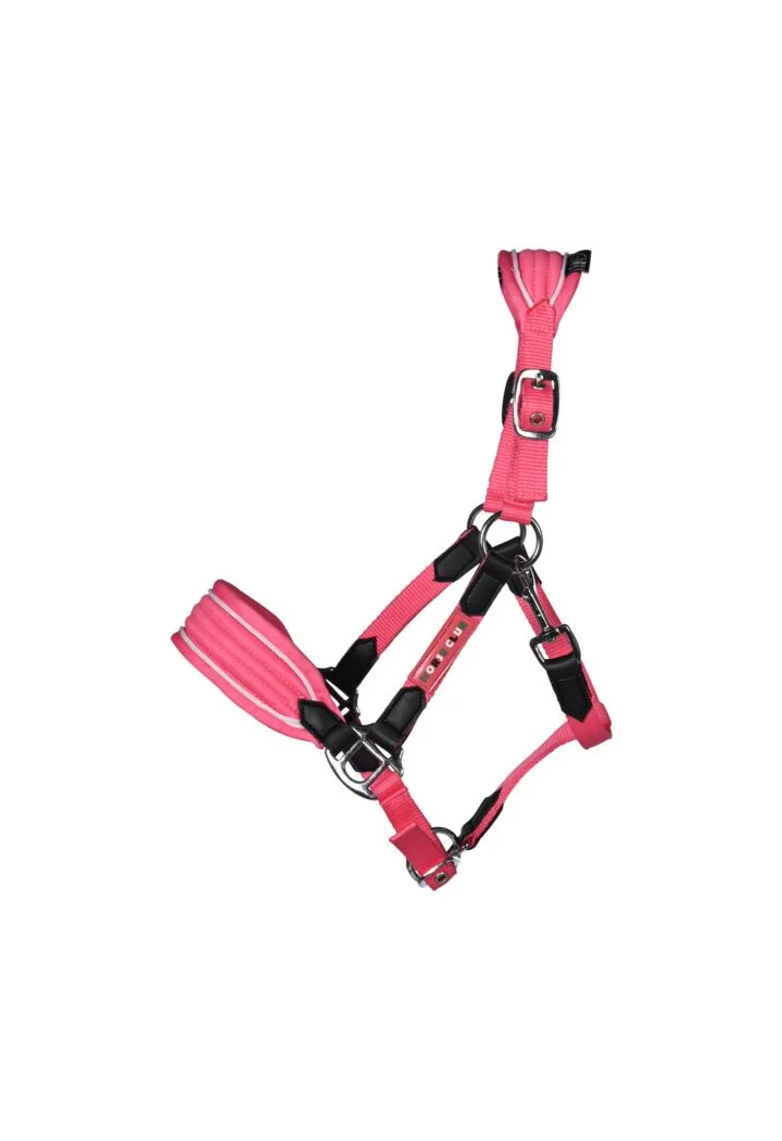 Headcollar for HKM Maui Shettys