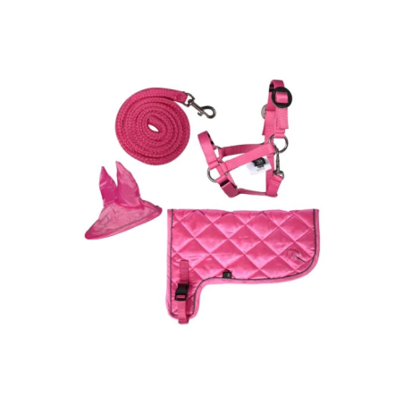 HKM Hobby Horse Neonset