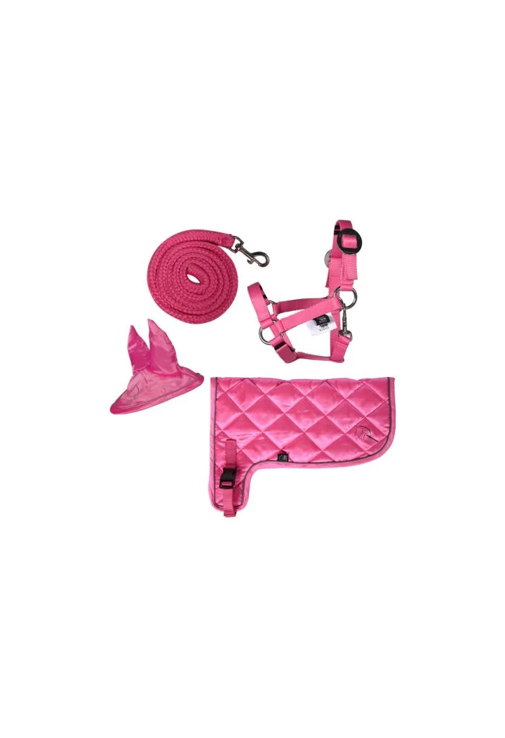 Set de neon HKM Hobby Horse