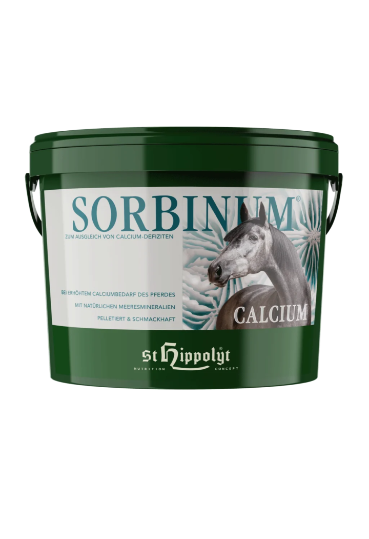 Calciu ST.HIPPOLYT Calcium Sorbinum 10kg