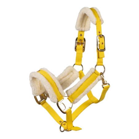 Cavezza HKM Limone Elegant