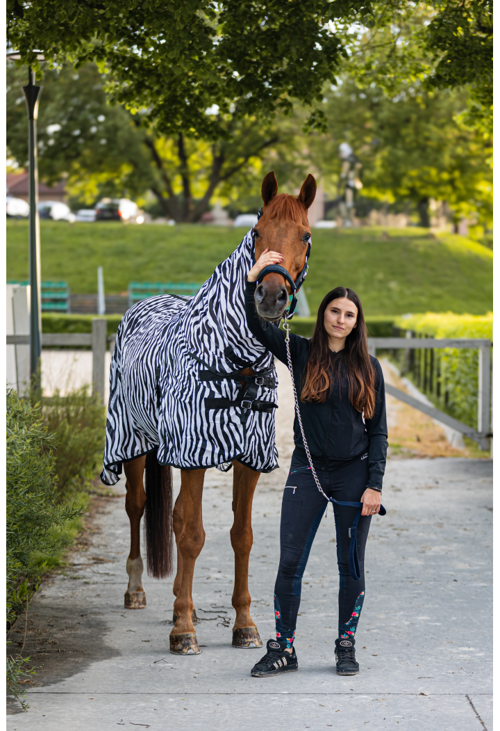 Pătură pentru cai plasă START Zebra cu gât + buric clapa