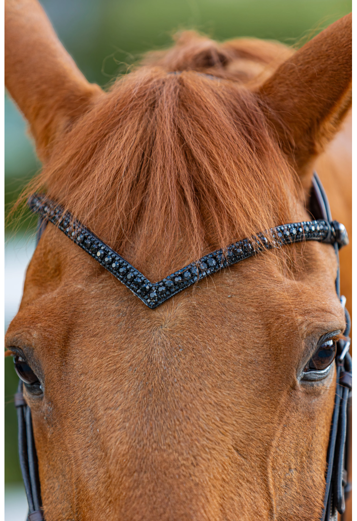 Frontalino START Woden