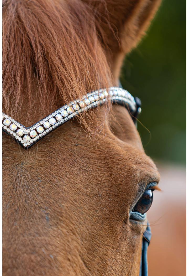 Frontalino START Woden
