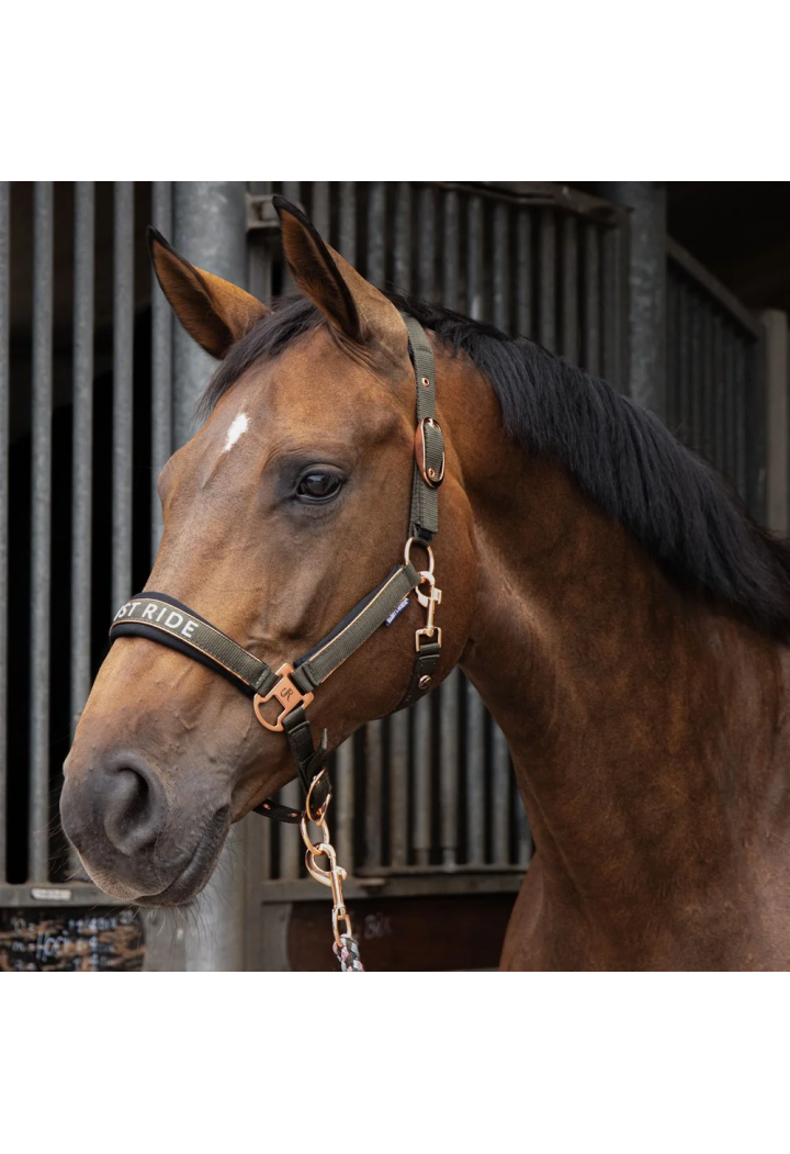 Kantar i uwiąz Harry's Horse Just Ride Summer Chique 26SS