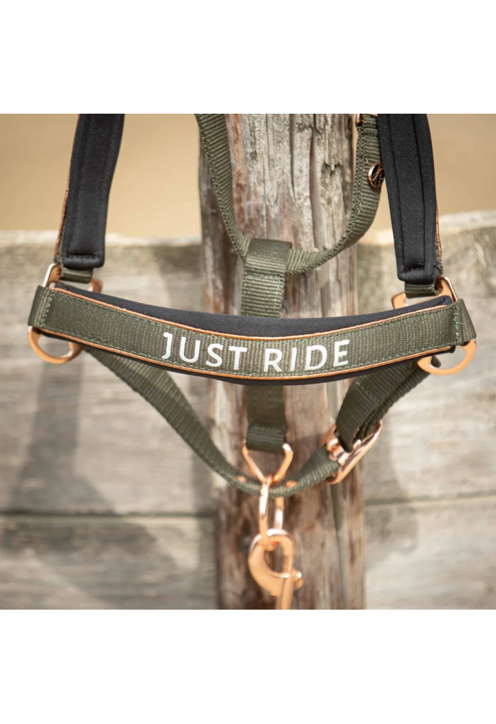 Cavezza e lunghina Harry's Horse Ride Summer Chique 26SS