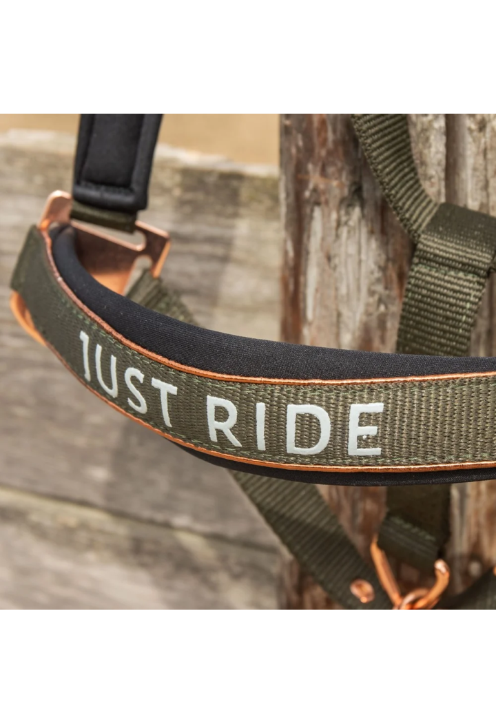 Cavezza e lunghina Harry's Horse Ride Summer Chique 26SS
