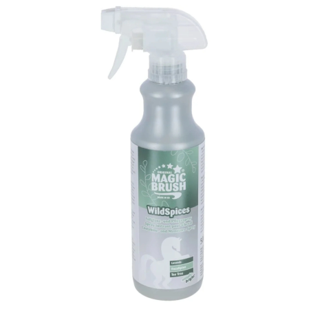 MAGIC BRUSH Wild Spices 500ml