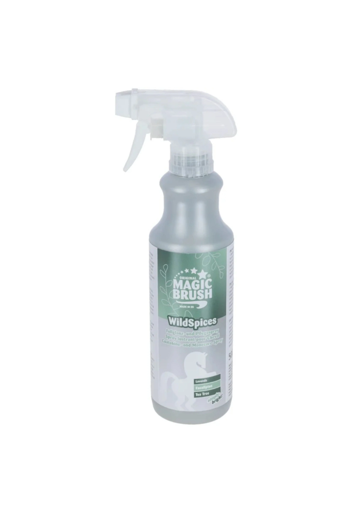 MAGIC BRUSH Wild Spices 500ml