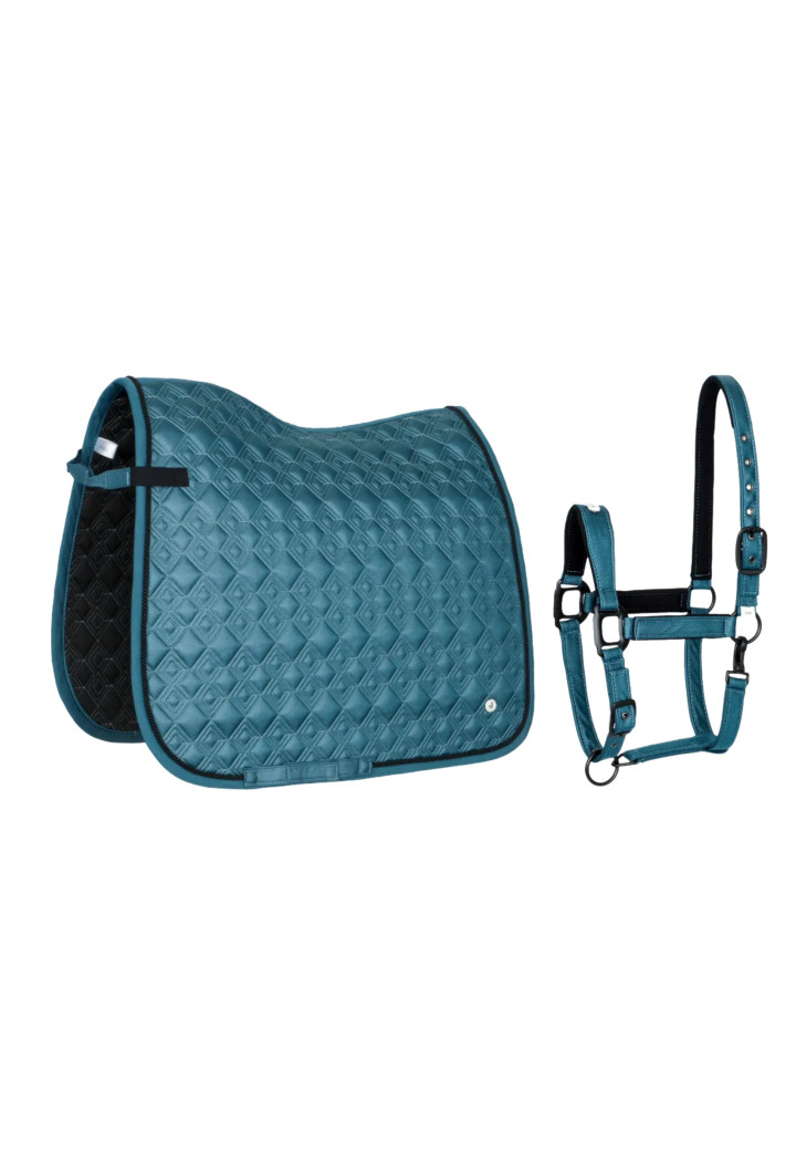 Sottosella (DR) + Cavezza (COB) EQ Stuttgart blue