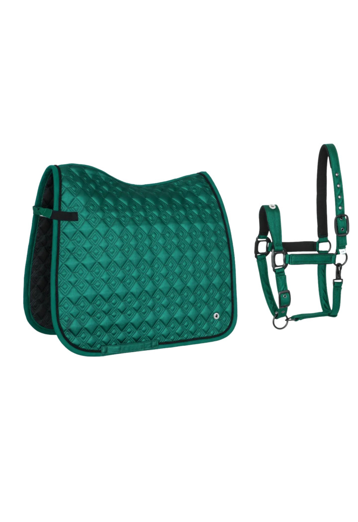 Sottosella (DR) + Cavezza (PONY) EQ Stuttgart verde scuro